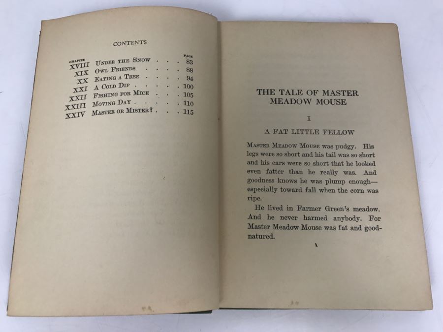 Vintage 1921 Book The Tale Of Master Meadow Mouse By Arthur Scott Bailey Sleepy-Time Tales [Photo 8]