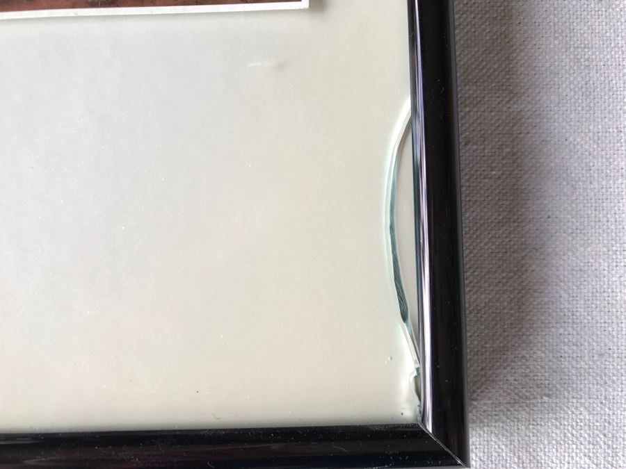 Bugs Bunny 'What's Up Doc?' Poster Print With Sheet Of Mint USPS 32c Stamps (Chip In Glass In Lower Right) [Photo 9]