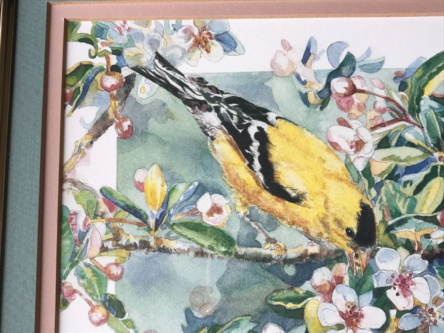 Pair Of Framed Limited Edition Bird Prints By M. Booth Cabot Hand Signed [Photo 11]