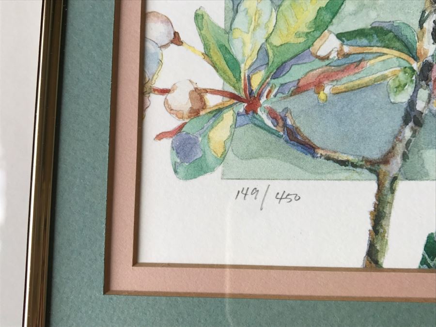 Pair Of Framed Limited Edition Bird Prints By M. Booth Cabot Hand Signed [Photo 14]