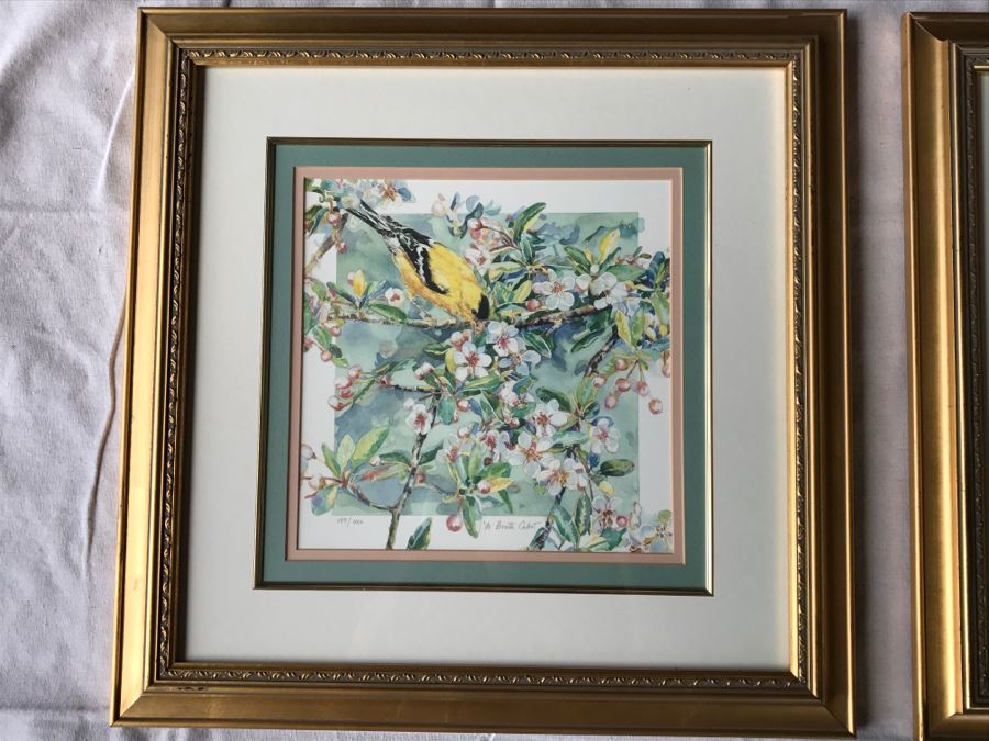 Pair Of Framed Limited Edition Bird Prints By M. Booth Cabot Hand Signed [Photo 9]