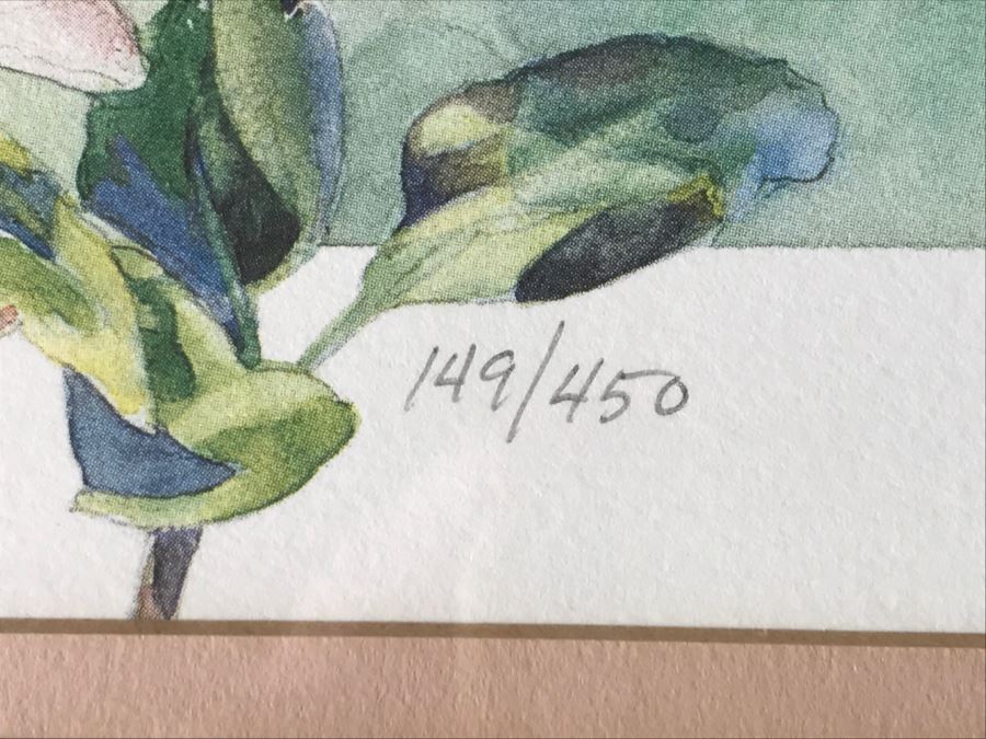 Pair Of Framed Limited Edition Bird Prints By M. Booth Cabot Hand Signed [Photo 8]