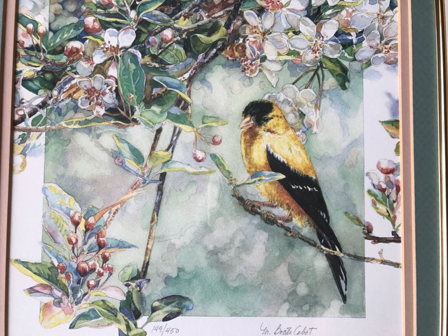 Pair Of Framed Limited Edition Bird Prints By M. Booth Cabot Hand Signed [Photo 4]