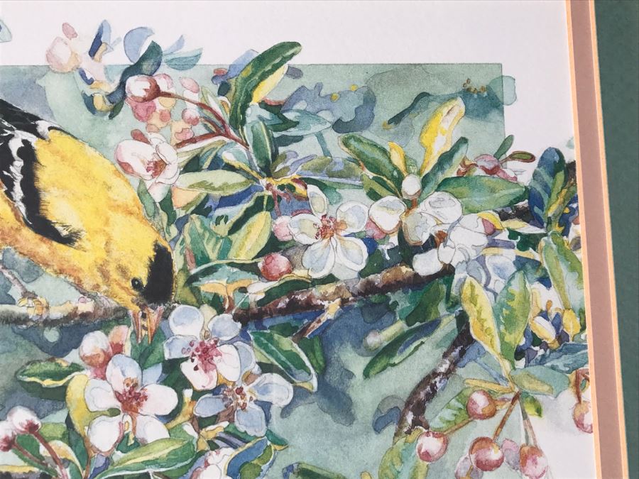 Pair Of Framed Limited Edition Bird Prints By M. Booth Cabot Hand Signed [Photo 12]