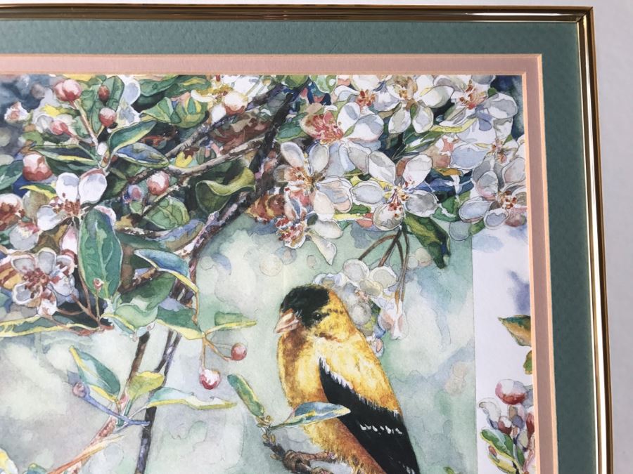 Pair Of Framed Limited Edition Bird Prints By M. Booth Cabot Hand Signed [Photo 5]