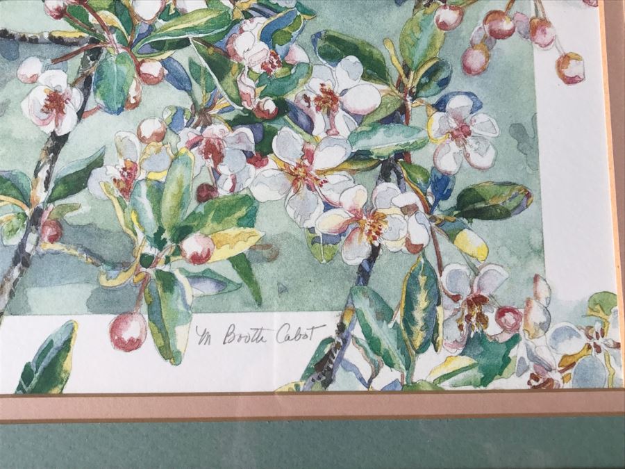Pair Of Framed Limited Edition Bird Prints By M. Booth Cabot Hand Signed [Photo 13]