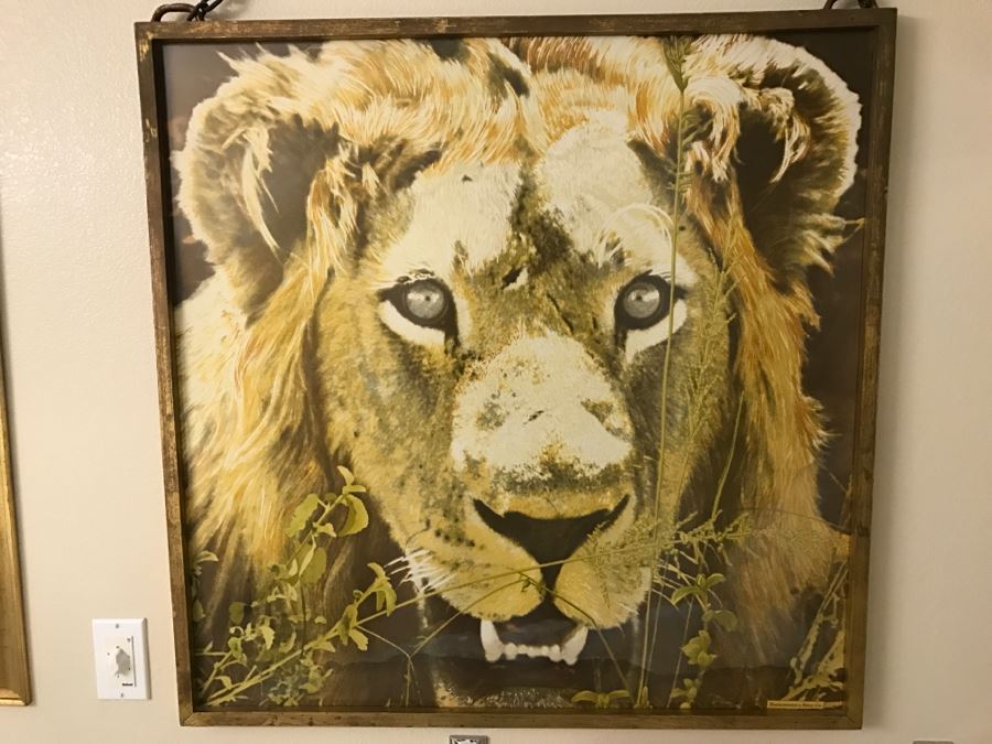 Framed Abercrombie & Fitch Co Lion Scarf Mint Condition [Photo 1]