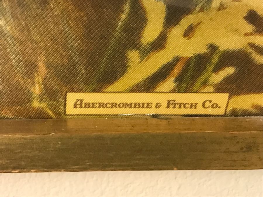 Framed Abercrombie & Fitch Co Lion Scarf Mint Condition [Photo 8]