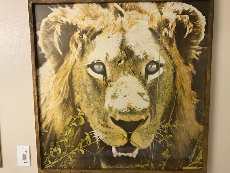 Framed Abercrombie & Fitch Co Lion Scarf Mint Condition [Photo 5]