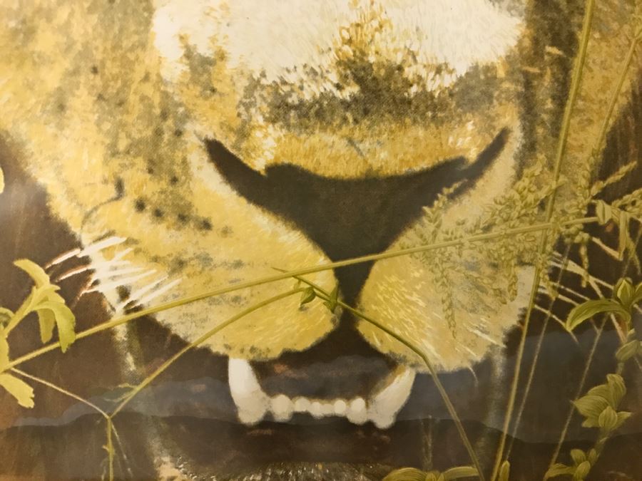 Framed Abercrombie & Fitch Co Lion Scarf Mint Condition [Photo 6]