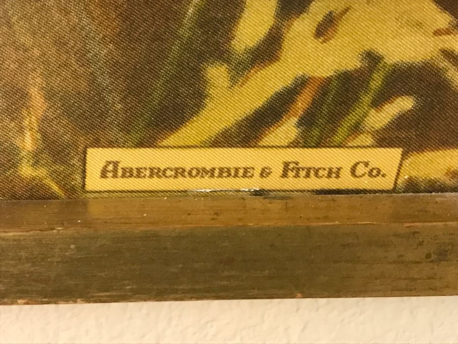 Framed Abercrombie & Fitch Co Lion Scarf Mint Condition [Photo 7]