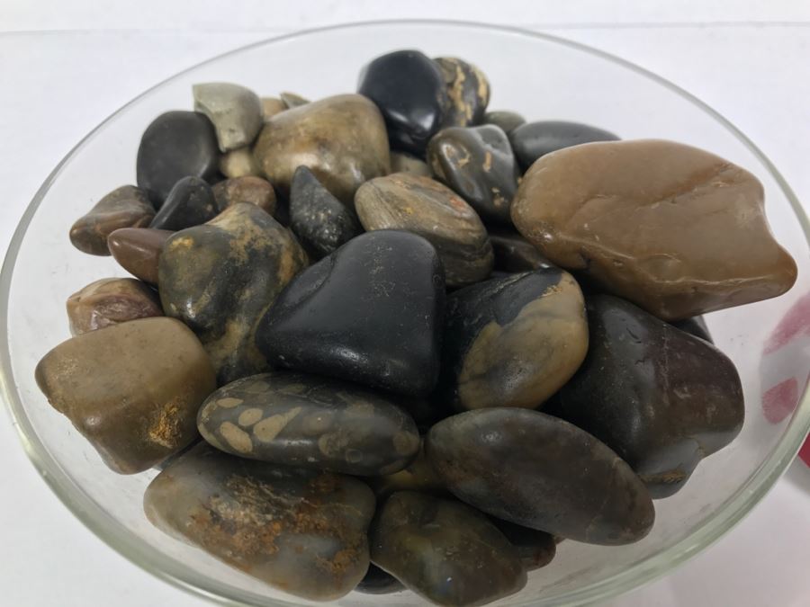 Large Collection Of Dinosaur Gizzard Stones Gastroliths From Princeton PhD Geologist 3.8Lbs [Photo 4]