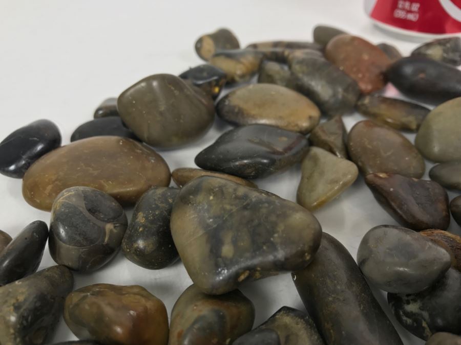 Large Collection Of Dinosaur Gizzard Stones Gastroliths From Princeton PhD Geologist 3.8Lbs [Photo 16]