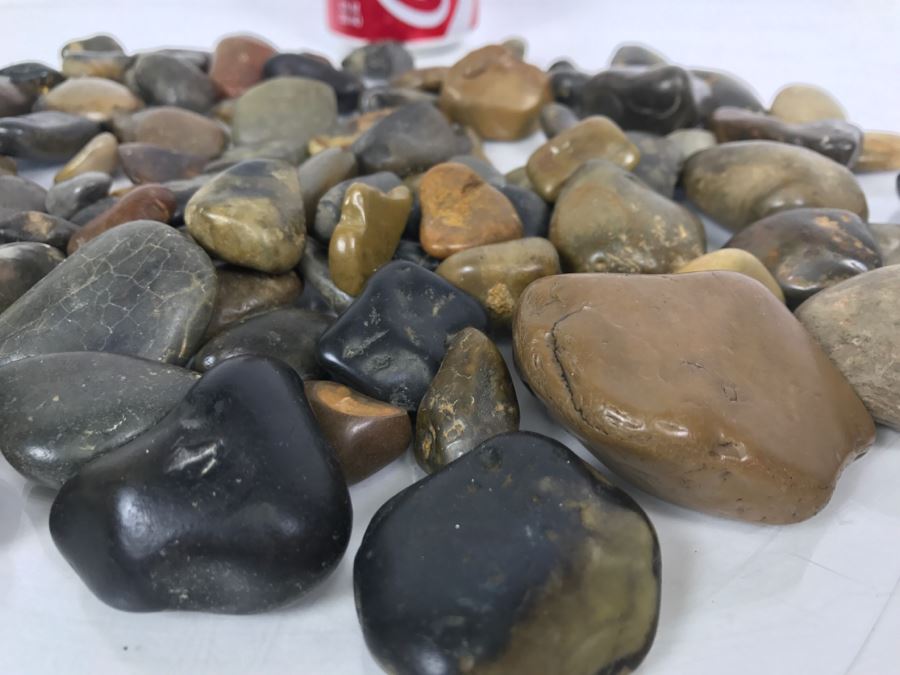 Large Collection Of Dinosaur Gizzard Stones Gastroliths From Princeton PhD Geologist 3.8Lbs [Photo 20]