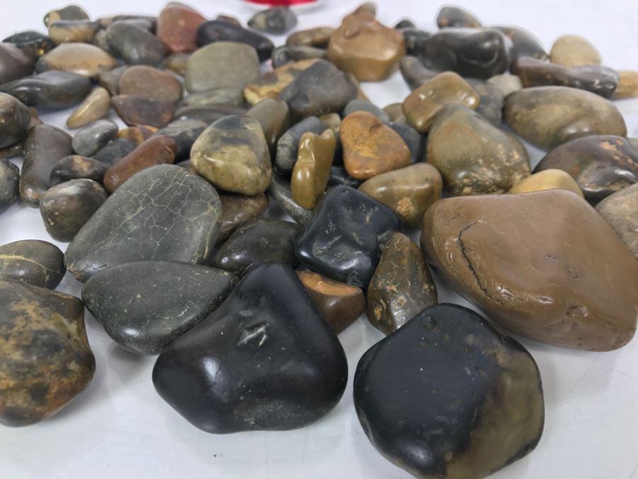 Large Collection Of Dinosaur Gizzard Stones Gastroliths From Princeton PhD Geologist 3.8Lbs [Photo 6]