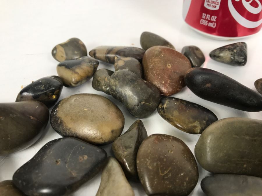 Large Collection Of Dinosaur Gizzard Stones Gastroliths From Princeton PhD Geologist 3.8Lbs [Photo 17]