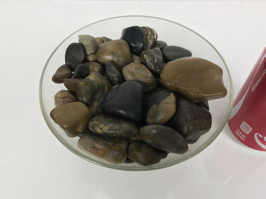 Large Collection Of Dinosaur Gizzard Stones Gastroliths From Princeton PhD Geologist 3.8Lbs [Photo 3]