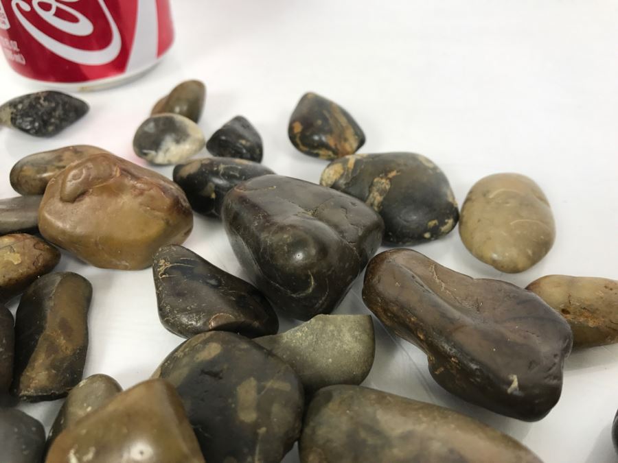 Large Collection Of Dinosaur Gizzard Stones Gastroliths From Princeton PhD Geologist 3.8Lbs [Photo 10]