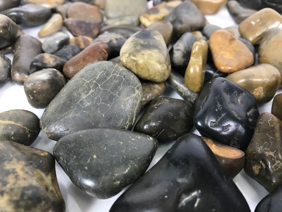 Large Collection Of Dinosaur Gizzard Stones Gastroliths From Princeton PhD Geologist 3.8Lbs [Photo 13]