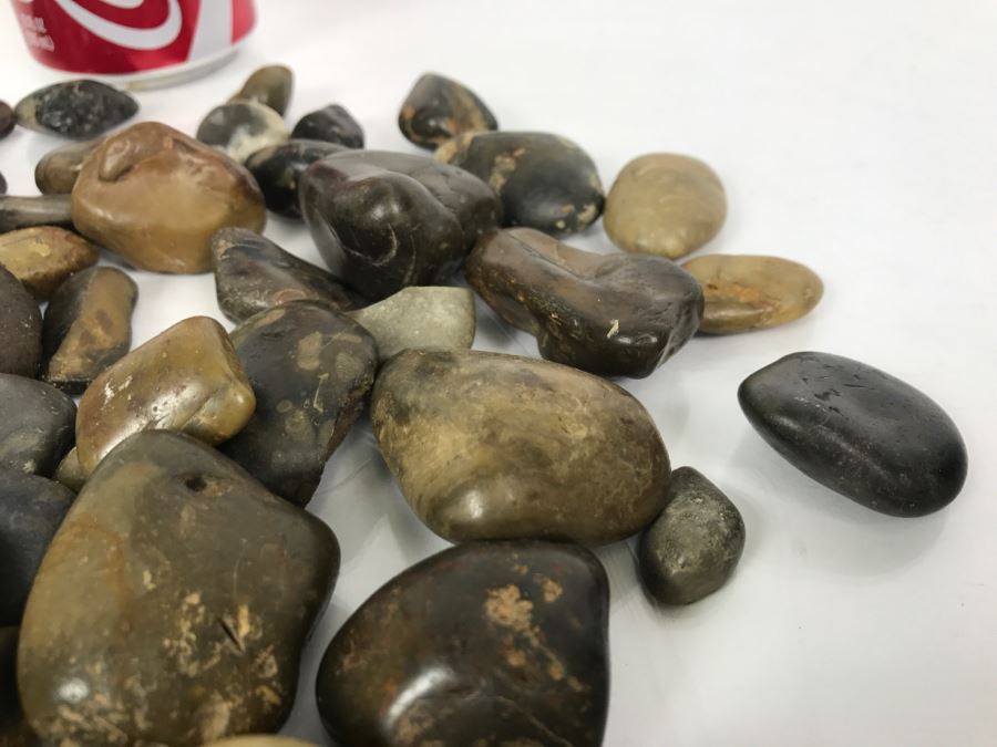 Large Collection Of Dinosaur Gizzard Stones Gastroliths From Princeton PhD Geologist 3.8Lbs [Photo 9]