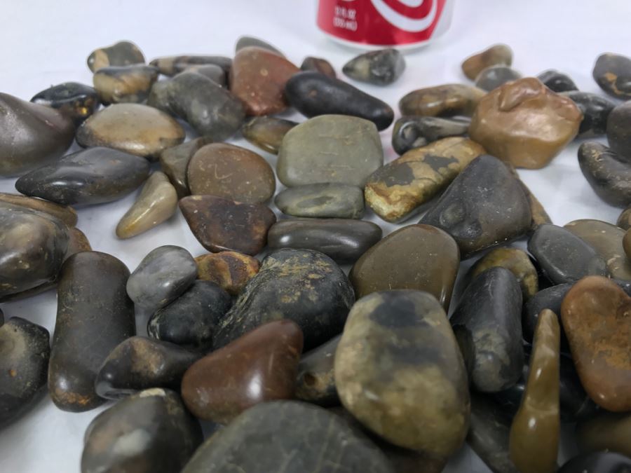 Large Collection Of Dinosaur Gizzard Stones Gastroliths From Princeton PhD Geologist 3.8Lbs [Photo 12]