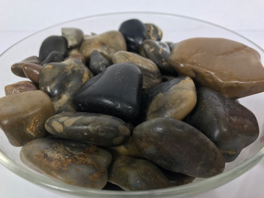 Large Collection Of Dinosaur Gizzard Stones Gastroliths From Princeton PhD Geologist 3.8Lbs [Photo 5]