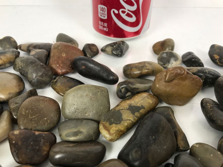 Large Collection Of Dinosaur Gizzard Stones Gastroliths From Princeton PhD Geologist 3.8Lbs [Photo 11]