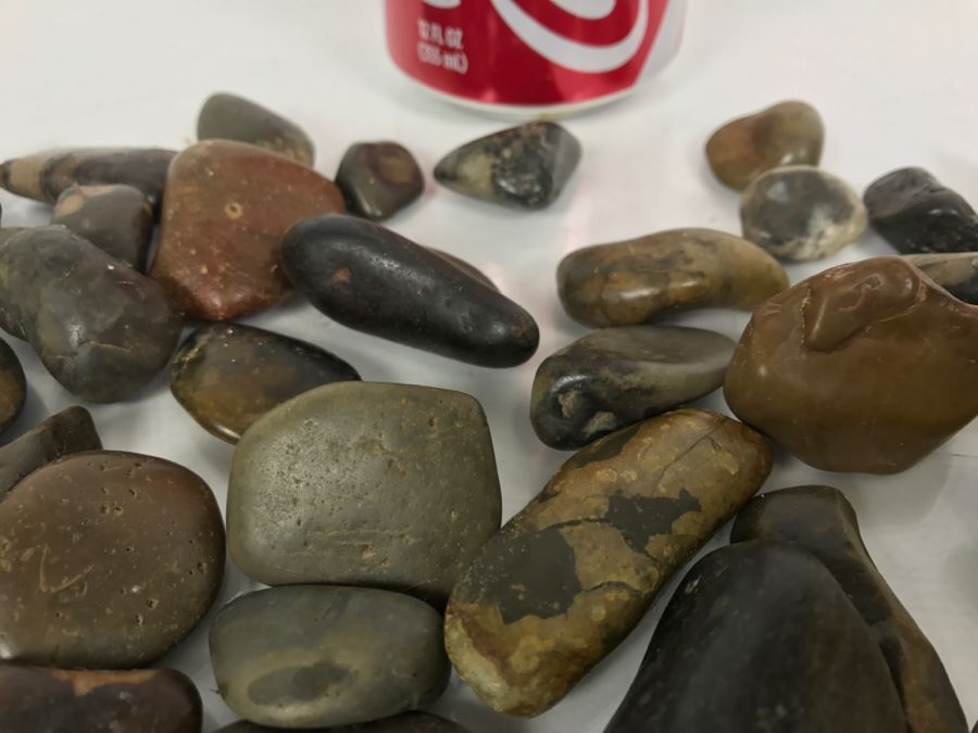 Large Collection Of Dinosaur Gizzard Stones Gastroliths From Princeton PhD Geologist 3.8Lbs [Photo 18]