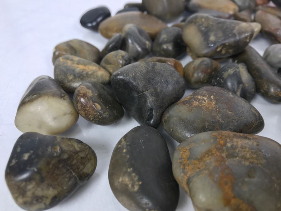 Large Collection Of Dinosaur Gizzard Stones Gastroliths From Princeton PhD Geologist 3.8Lbs [Photo 15]