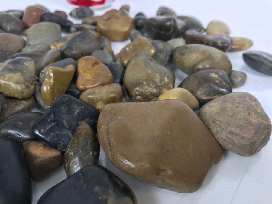 Large Collection Of Dinosaur Gizzard Stones Gastroliths From Princeton PhD Geologist 3.8Lbs [Photo 7]