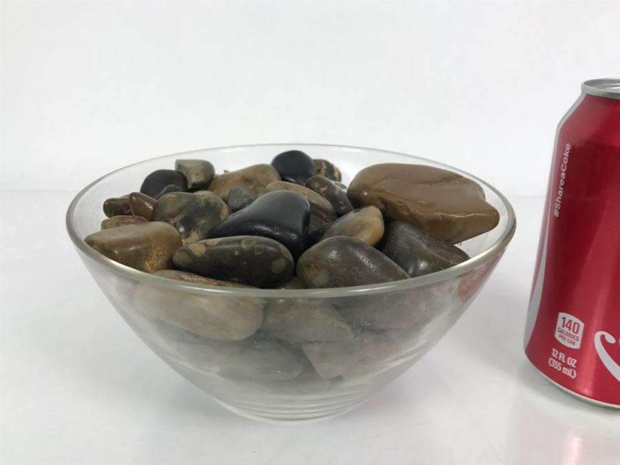 Large Collection Of Dinosaur Gizzard Stones Gastroliths From Princeton PhD Geologist 3.8Lbs [Photo 2]