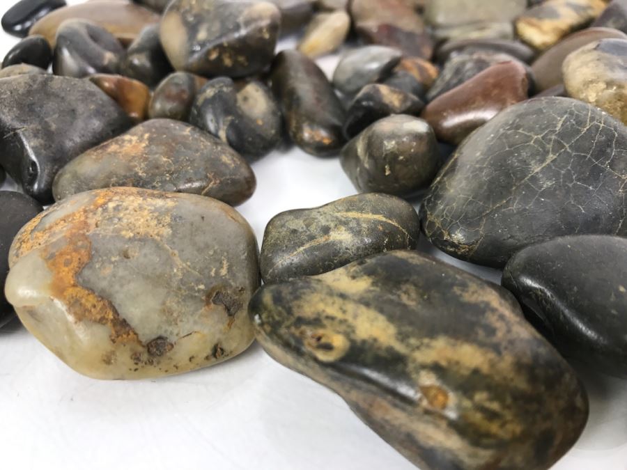 Large Collection Of Dinosaur Gizzard Stones Gastroliths From Princeton PhD Geologist 3.8Lbs [Photo 14]