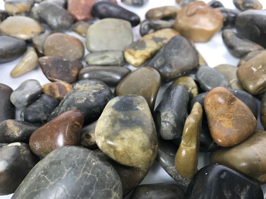 Large Collection Of Dinosaur Gizzard Stones Gastroliths From Princeton PhD Geologist 3.8Lbs [Photo 19]