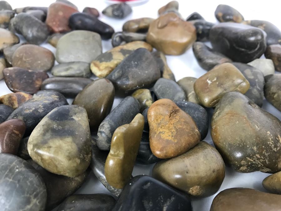 Large Collection Of Dinosaur Gizzard Stones Gastroliths From Princeton PhD Geologist 3.8Lbs [Photo 8]