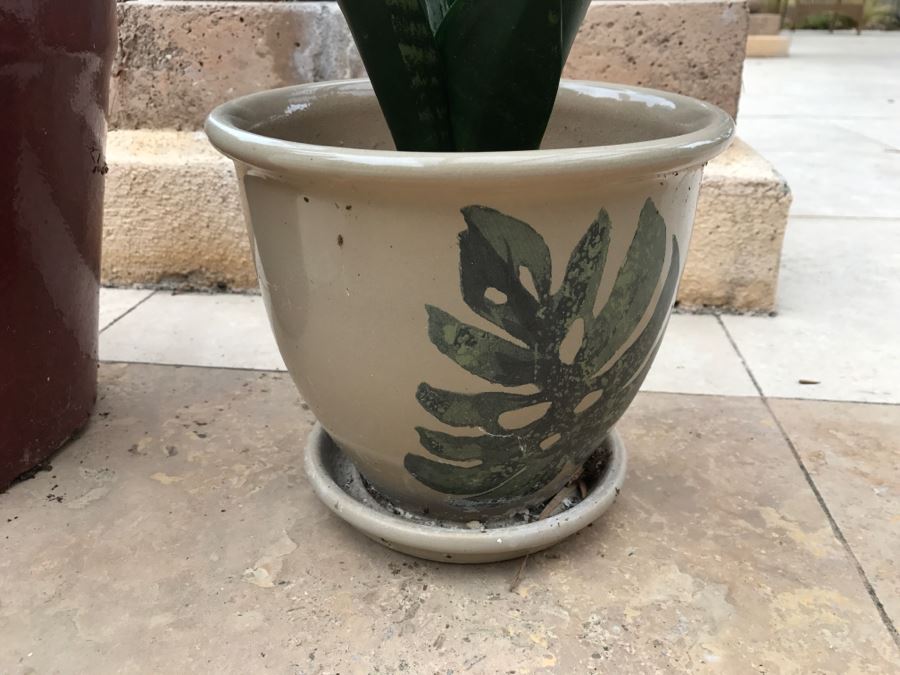 Pair Of Potted Plants [Photo 5]