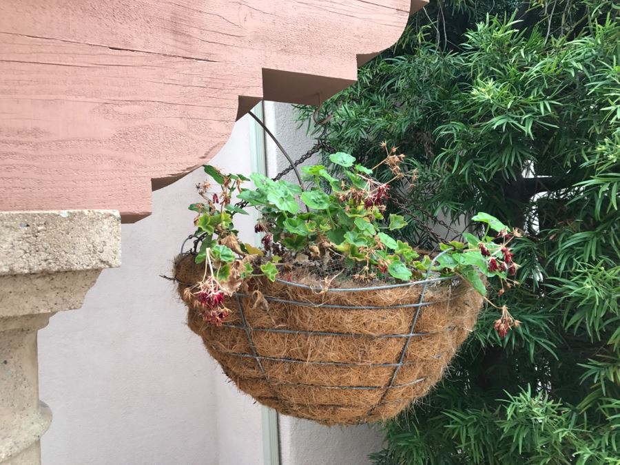 Set Of (6) Hanging Flower Pots [Photo 7]