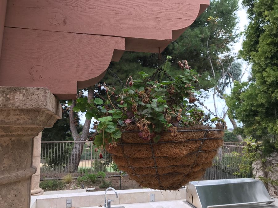 Set Of (6) Hanging Flower Pots [Photo 5]