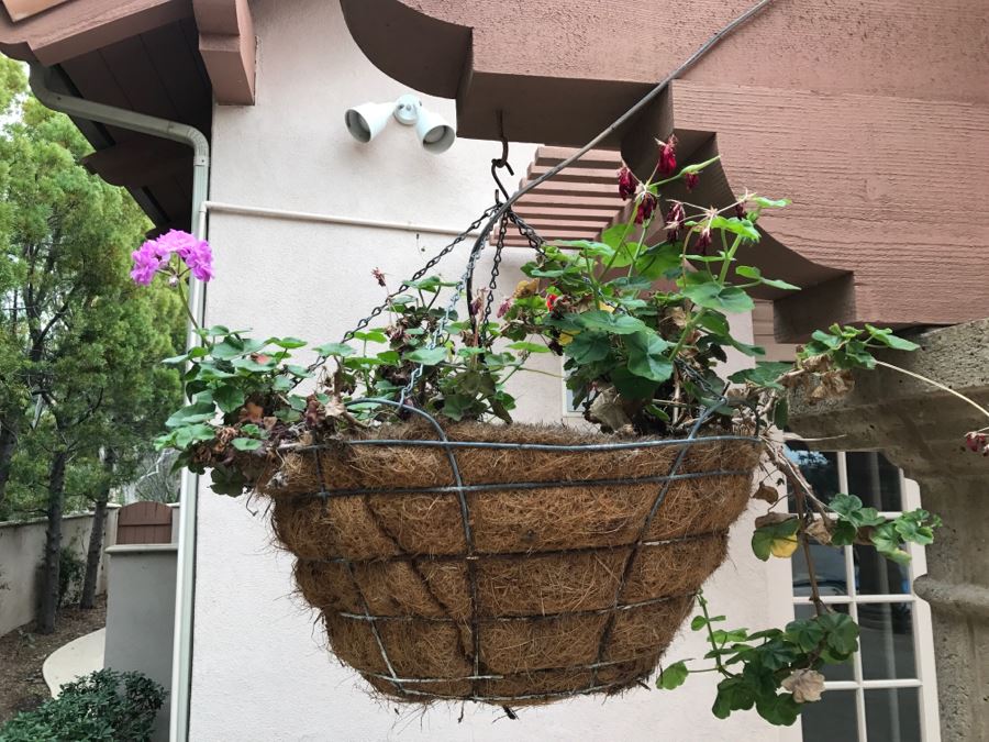 Set Of (6) Hanging Flower Pots [Photo 6]