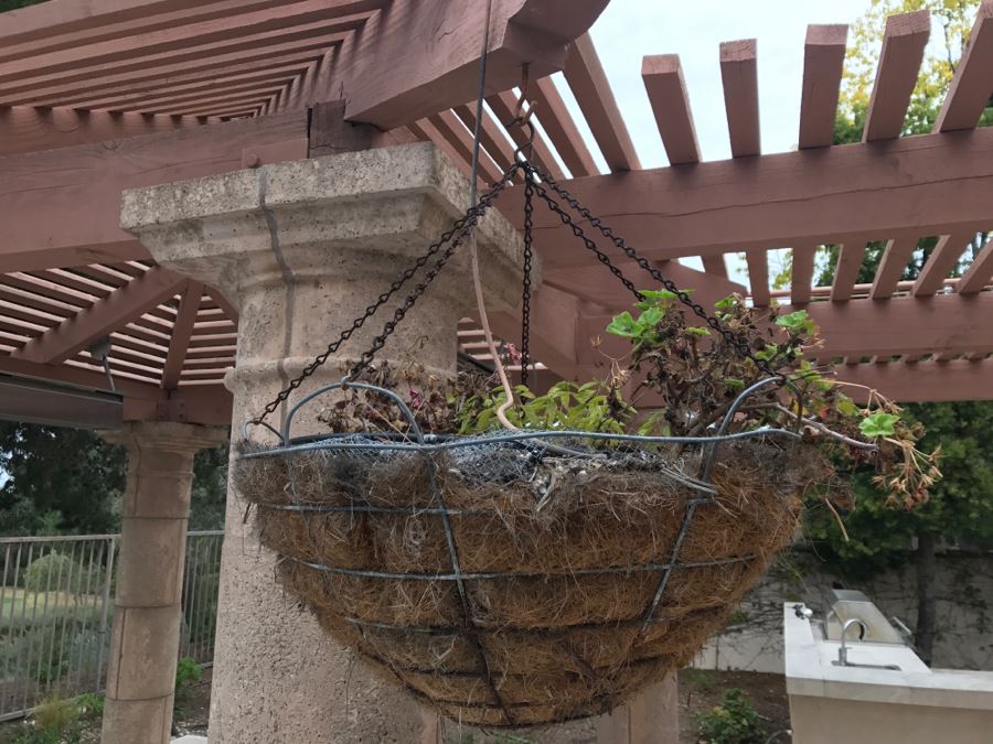 Set Of (6) Hanging Flower Pots [Photo 3]