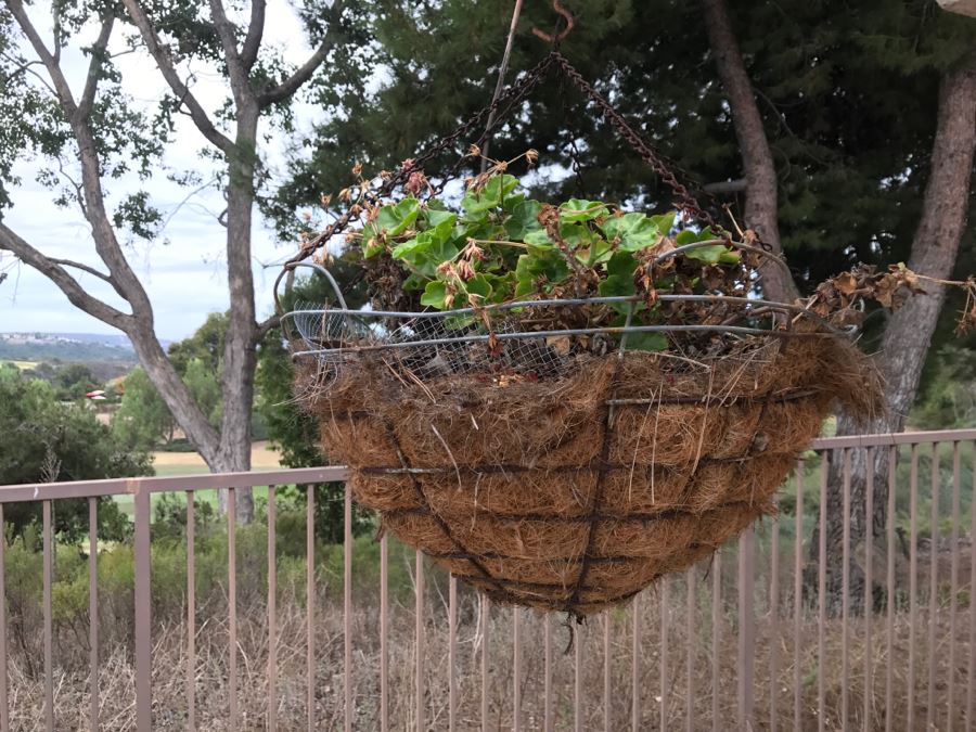 Set Of (6) Hanging Flower Pots [Photo 4]