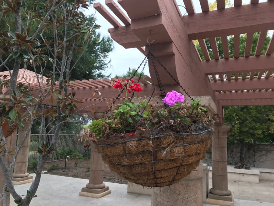 Set Of (6) Hanging Flower Pots [Photo 2]