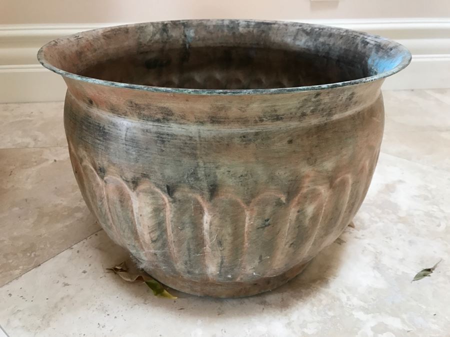 Indoor Potted Ficus Tree And Garden Ornament Gatco Plant Pot Retailed At $99.99 [Photo 8]