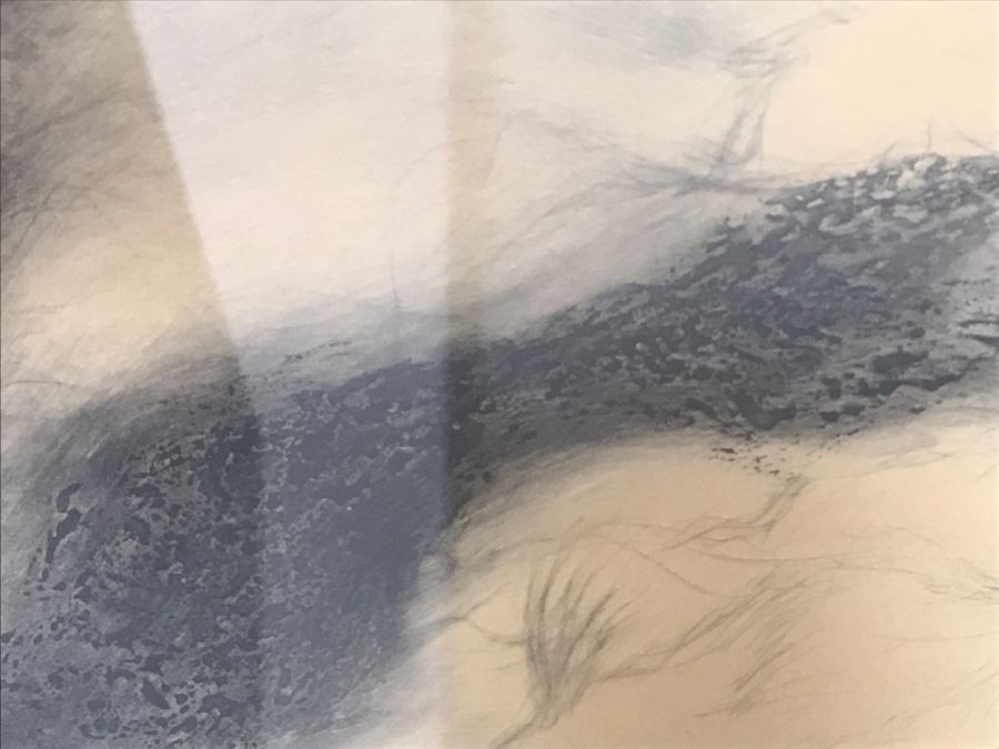 Louis Icart Etching Titled 'La Dame Aux Camelias' [Photo 12]