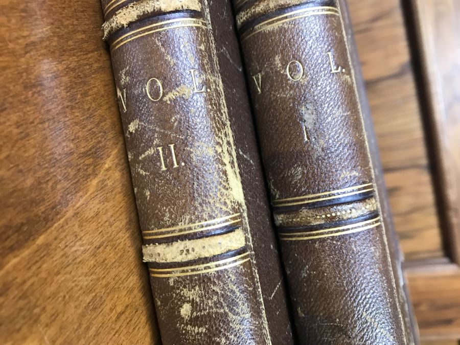 Antique 1887 Two Volume Set Of Books Famous Paintings Text By Fred H. Allen Haskell And Post Company Apx 90 Paintings Combined [Photo 7]