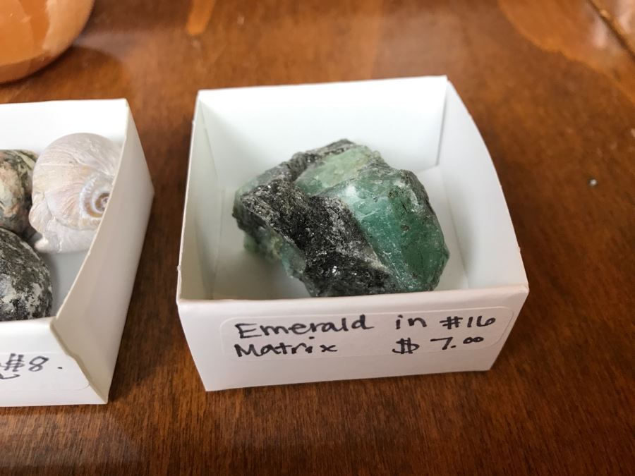 Collection Of Various Fossils And Stones Including An Orthoceras 400,000,000 Year Old Fossil - See All Photos [Photo 10]