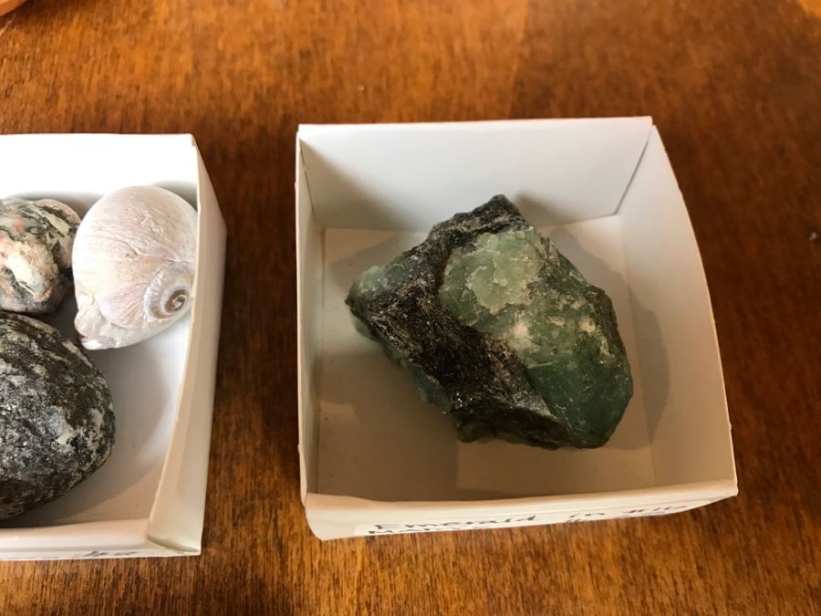 Collection Of Various Fossils And Stones Including An Orthoceras 400,000,000 Year Old Fossil - See All Photos [Photo 11]