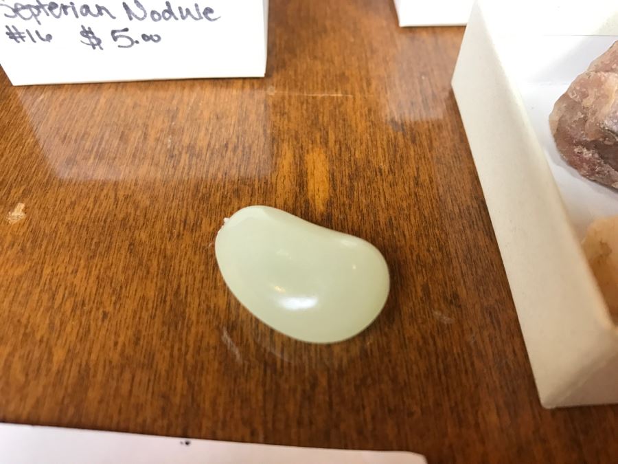 Collection Of Various Fossils And Stones Including An Orthoceras 400,000,000 Year Old Fossil - See All Photos [Photo 13]