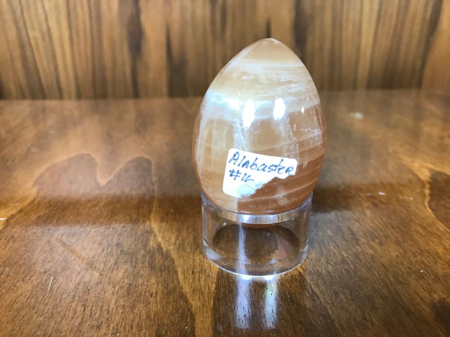 Collection Of Various Fossils And Stones Including An Orthoceras 400,000,000 Year Old Fossil - See All Photos [Photo 17]