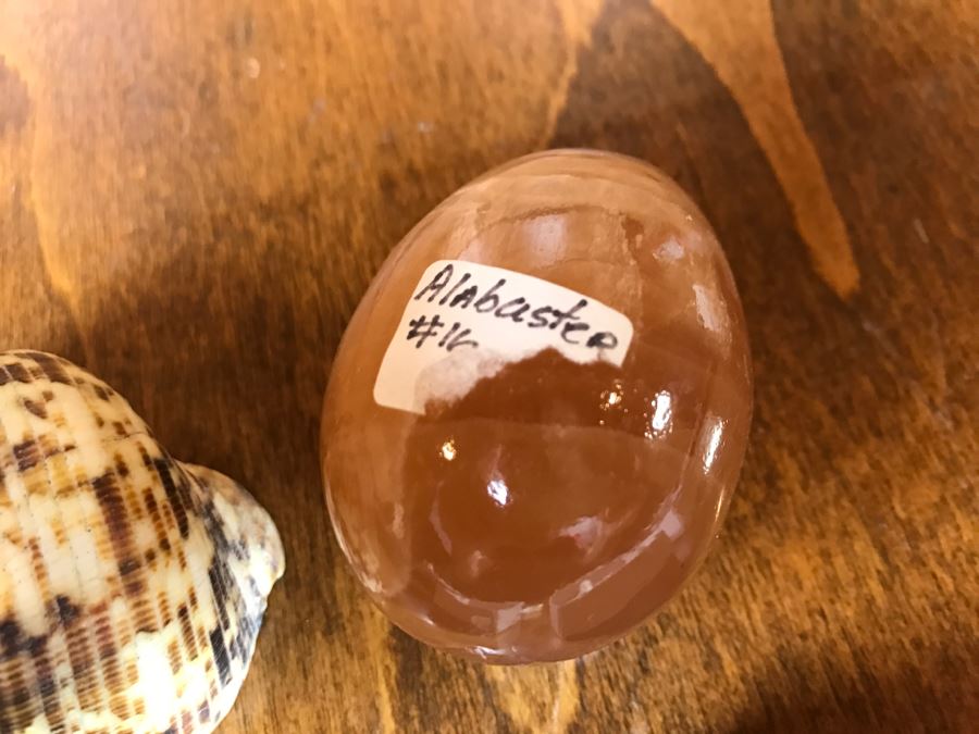 Collection Of Various Fossils And Stones Including An Orthoceras 400,000,000 Year Old Fossil - See All Photos [Photo 14]