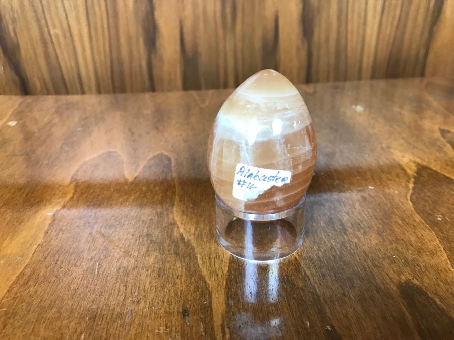 Collection Of Various Fossils And Stones Including An Orthoceras 400,000,000 Year Old Fossil - See All Photos [Photo 18]